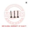ZAZ 2451007010 Inlet Valve